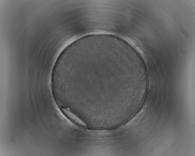 X0000111591189200908131334