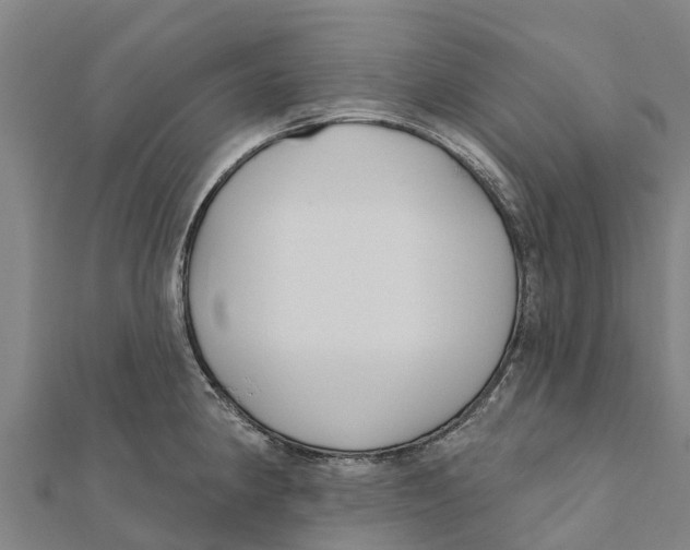 X0000111591190200908131334