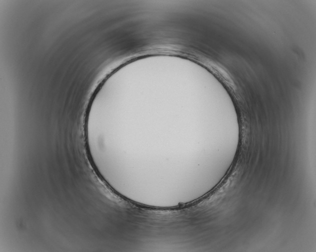 X0000111591192200908131334