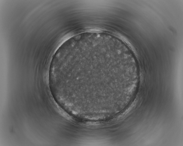 X0000111591194200908131334