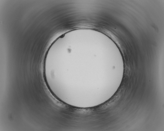 X0000111591195200908131334