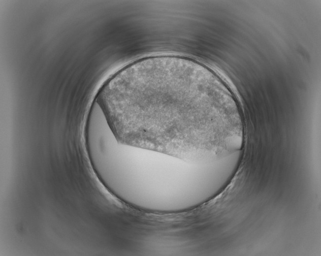 X0000111591197200908131333