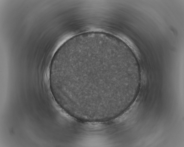 X0000111591198200908131333