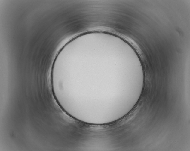 X0000111591199200908131333