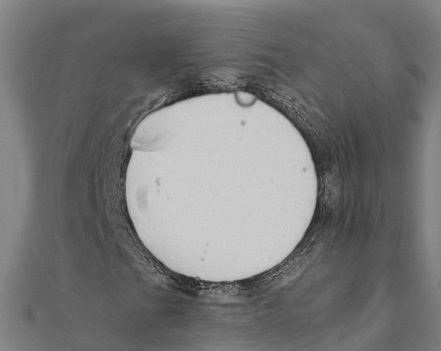 X0000111591201200908131333
