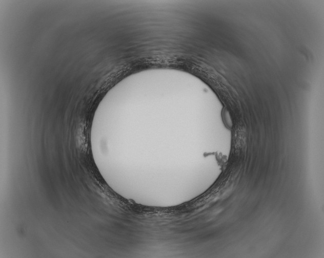 X0000111591202200908131333