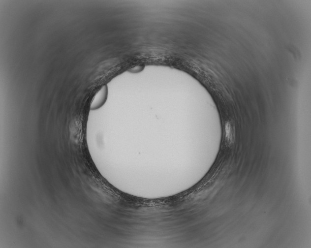 X0000111591203200908131333