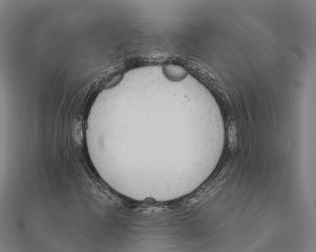 X0000111591204200908131333