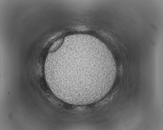 X0000111591205200908131333