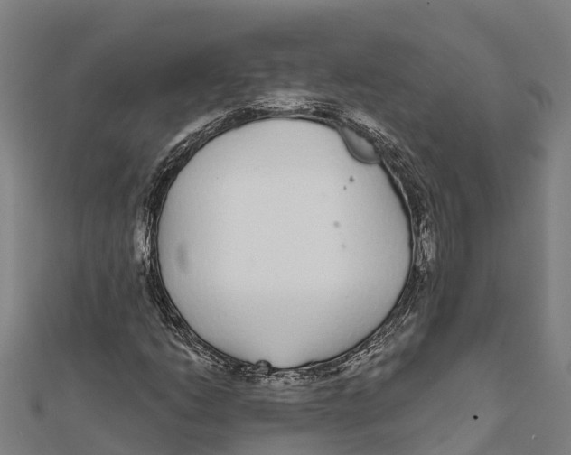 X0000111591206200908131333