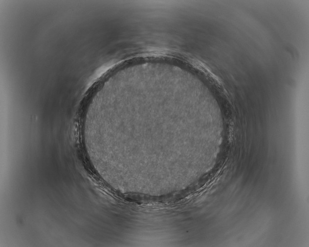 X0000111591208200908131333