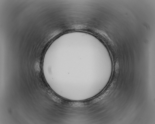 X0000111591209200908131333