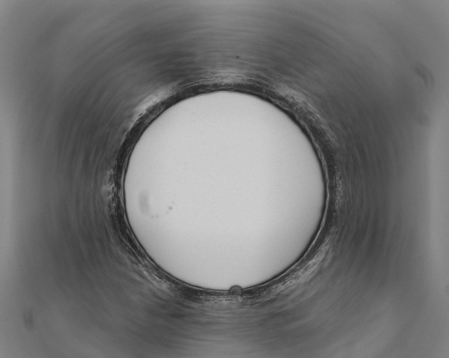 X0000111591210200908131333