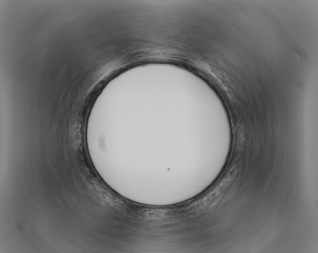 X0000111591211200908131333