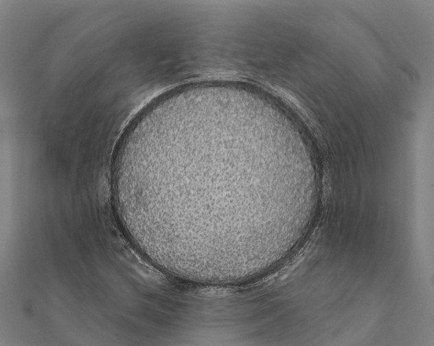 X0000111591212200908131333