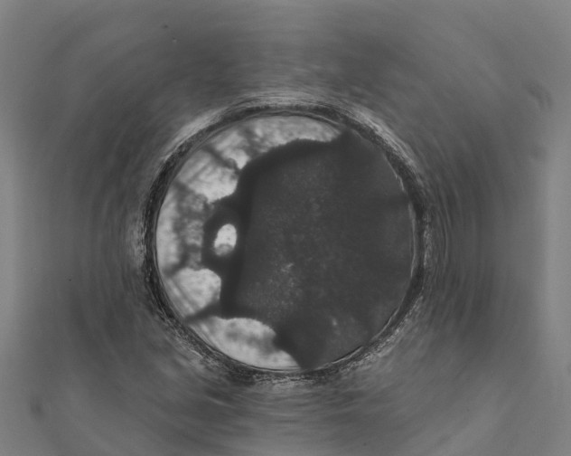 X0000111591213200908131333