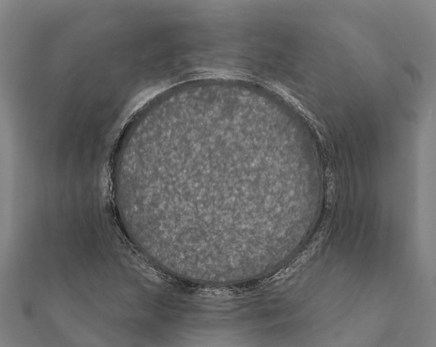 X0000111591215200908131333