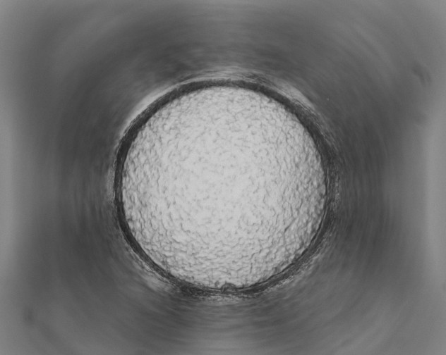 X0000111591216200908131333