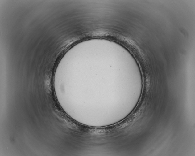 X0000111591217200908131333