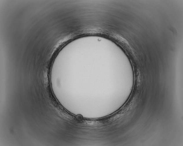 X0000111591218200908131333