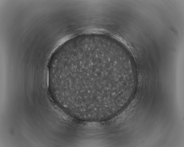 X0000111591219200908131333