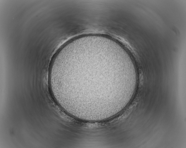X0000111591220200908131333
