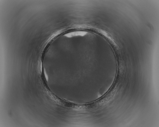 X0000111591221200908131333