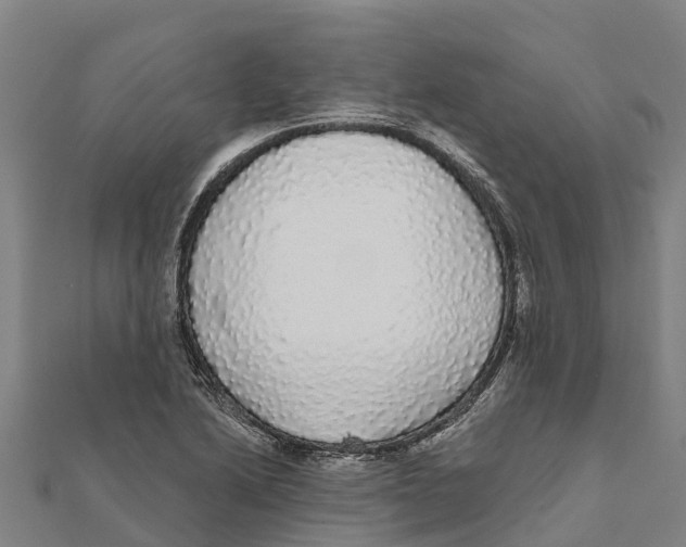 X0000111591222200908131333