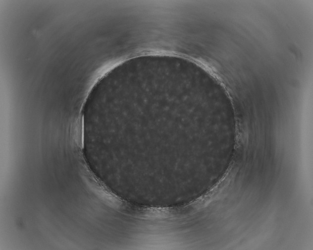 X0000111591223200908131333