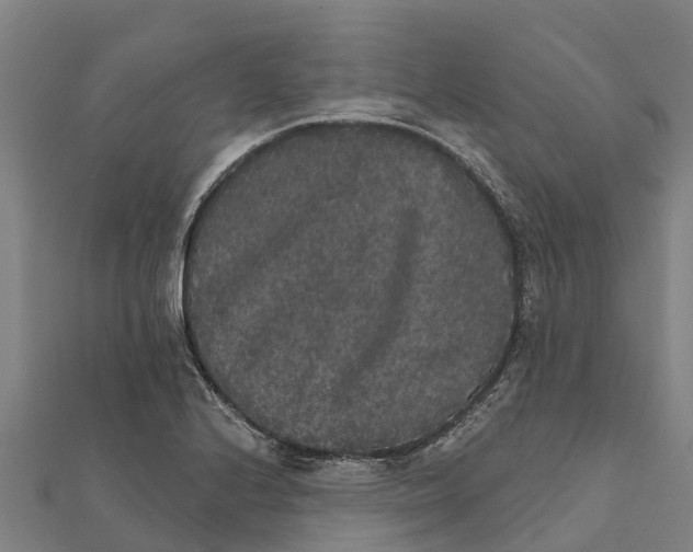 X0000111591224200908131333
