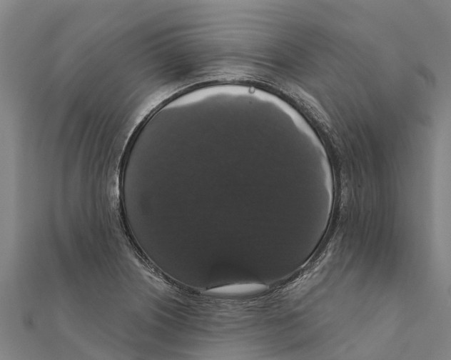 X0000111591226200908131333