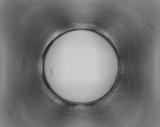 X0000111591227200908131333
