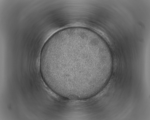 X0000111591228200908131333
