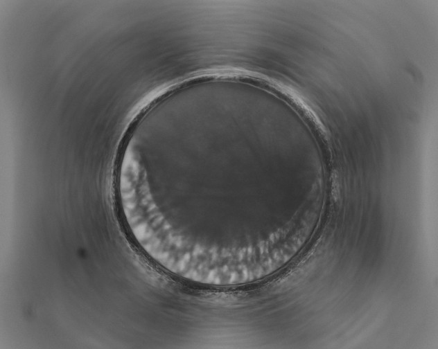 X0000111591229200908131333