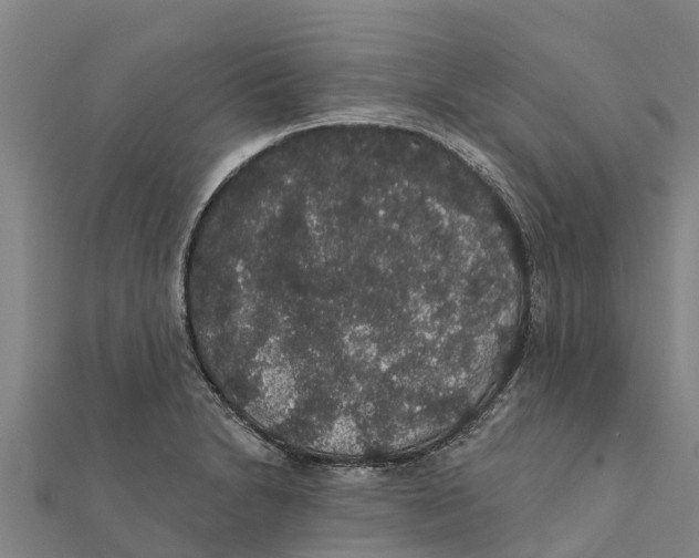 X0000111591230200908131333