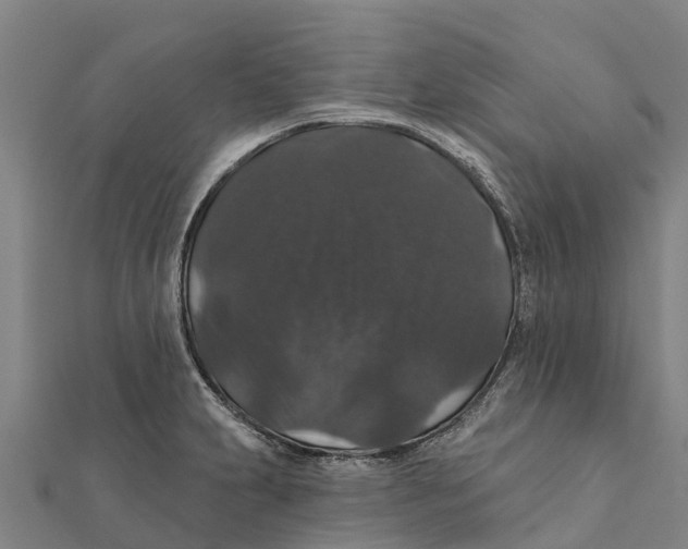 X0000111591231200908131333