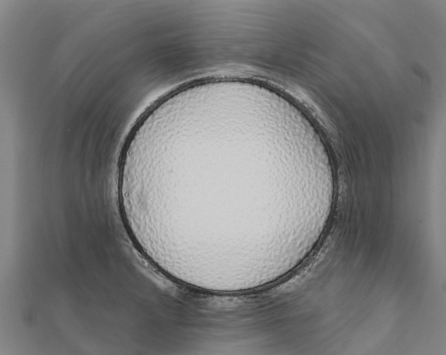 X0000111591232200908131333