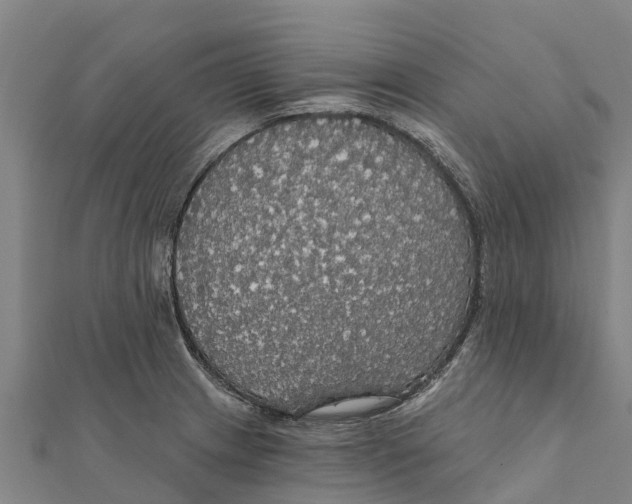 X0000111591233200908131333