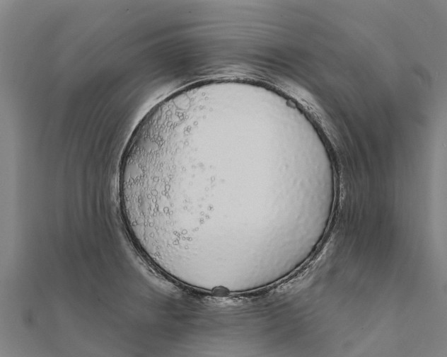 X0000111591234200908131333