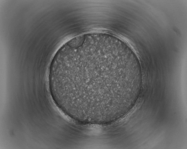 X0000111591235200908131333