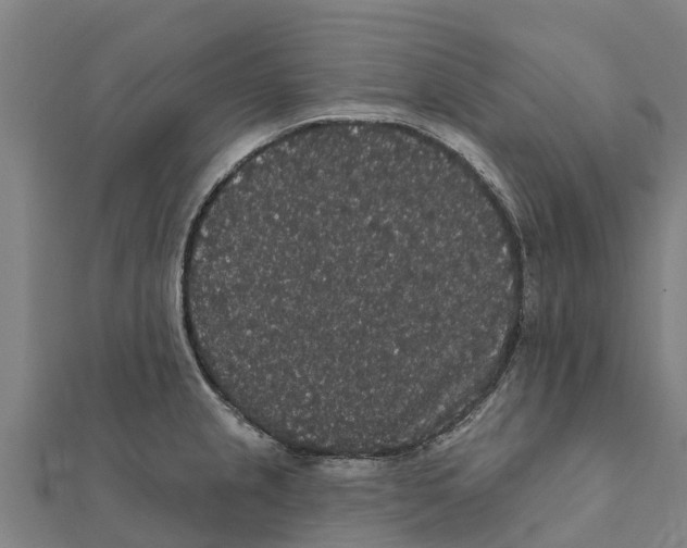 X0000111591237200908131333