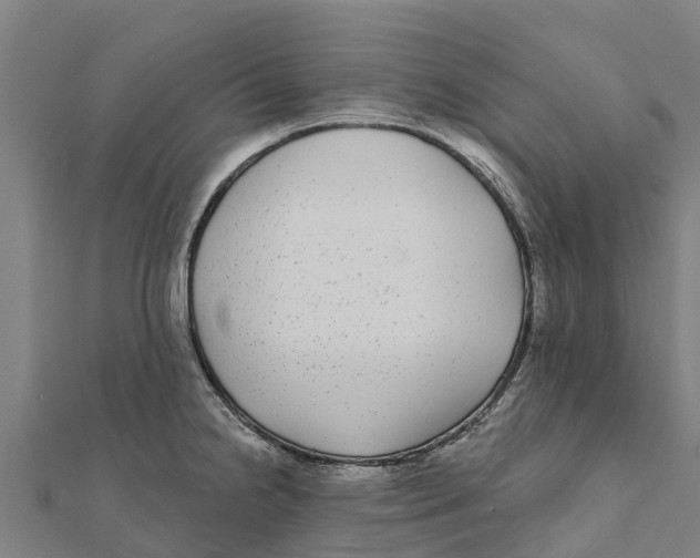X0000111591238200908131333
