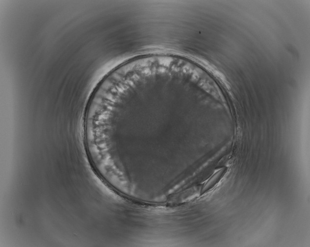 X0000111591239200908131333