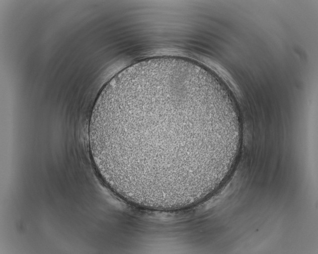 X0000111591241200908131333