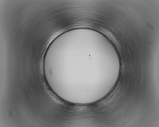 X0000111591242200908131333
