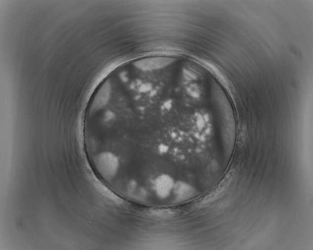 X0000111591243200908131333