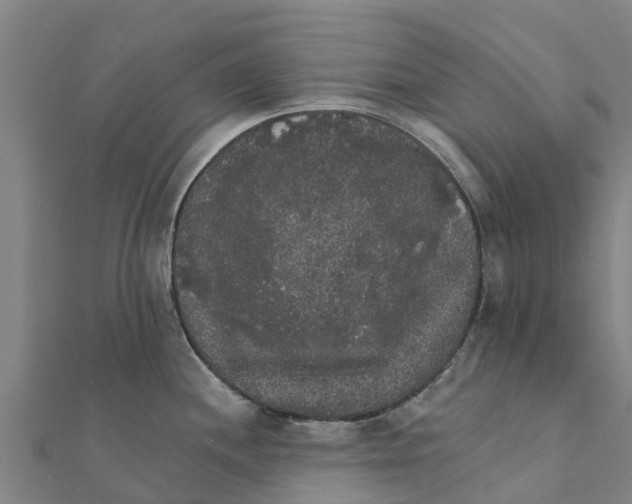 X0000111591244200908131333
