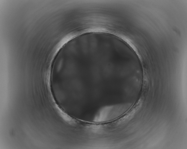 X0000111591245200908131333