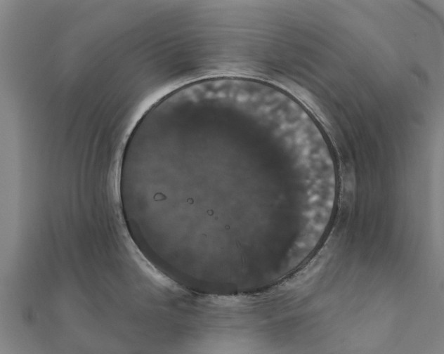 X0000111591246200908131333