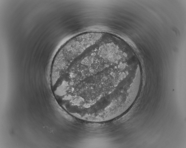 X0000111591248200908131333
